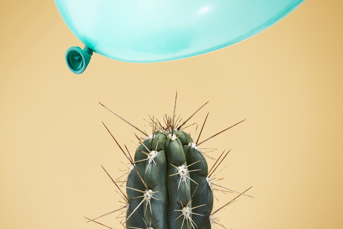 kaktusz és lufi, ami mindjárt kidurran - válság közeleg - recesszió